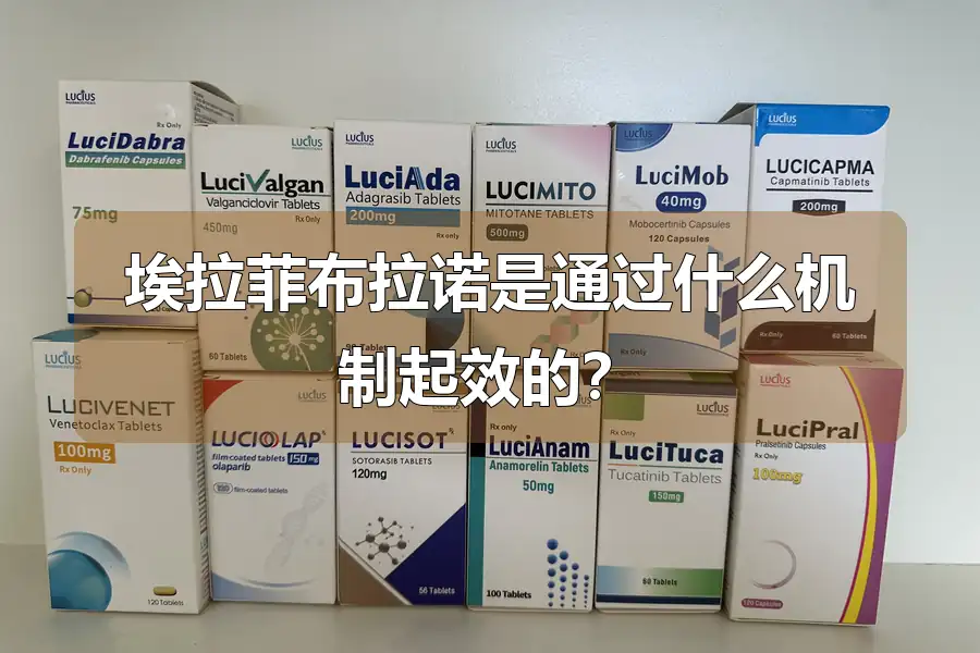 埃拉菲布拉诺是通过什么机制起效的？